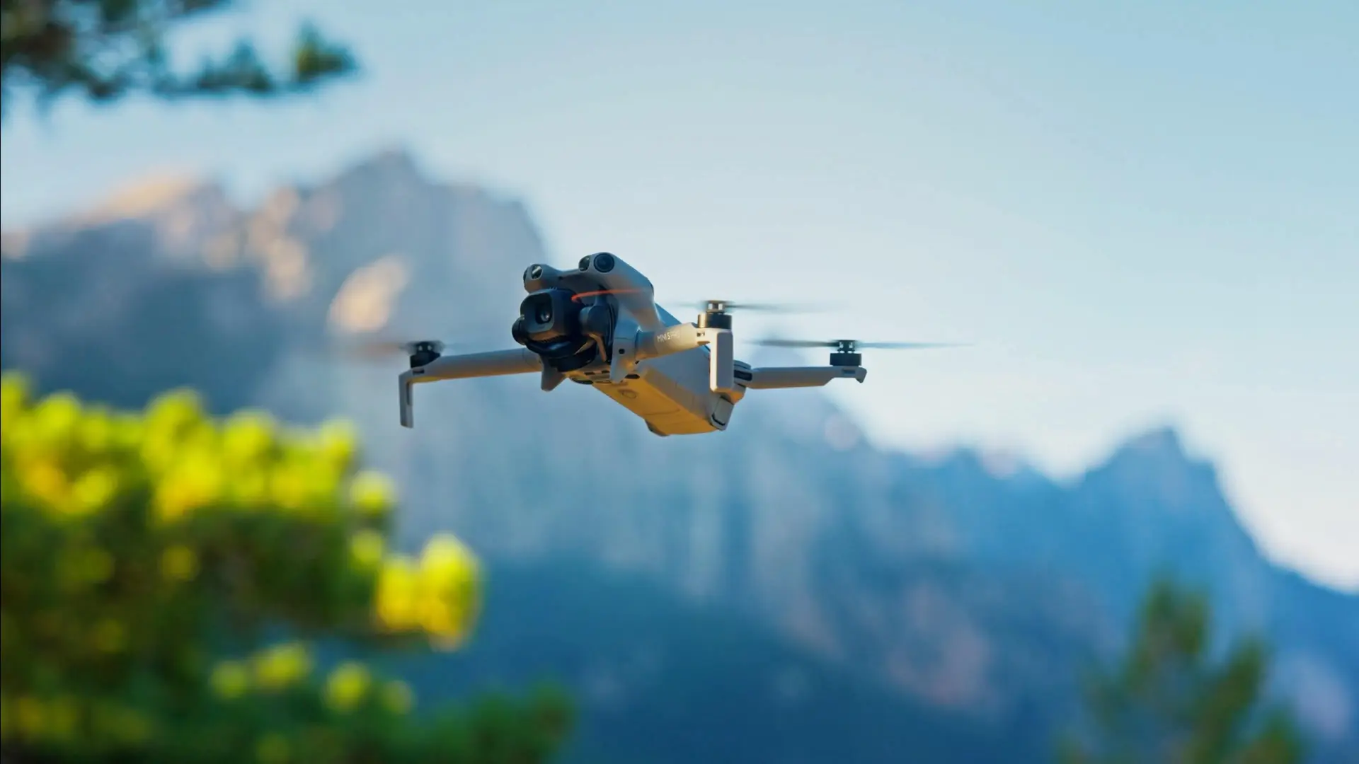 DJI Mini 5 Pro مع جهاز التحكم على جذع شجرة في غابة