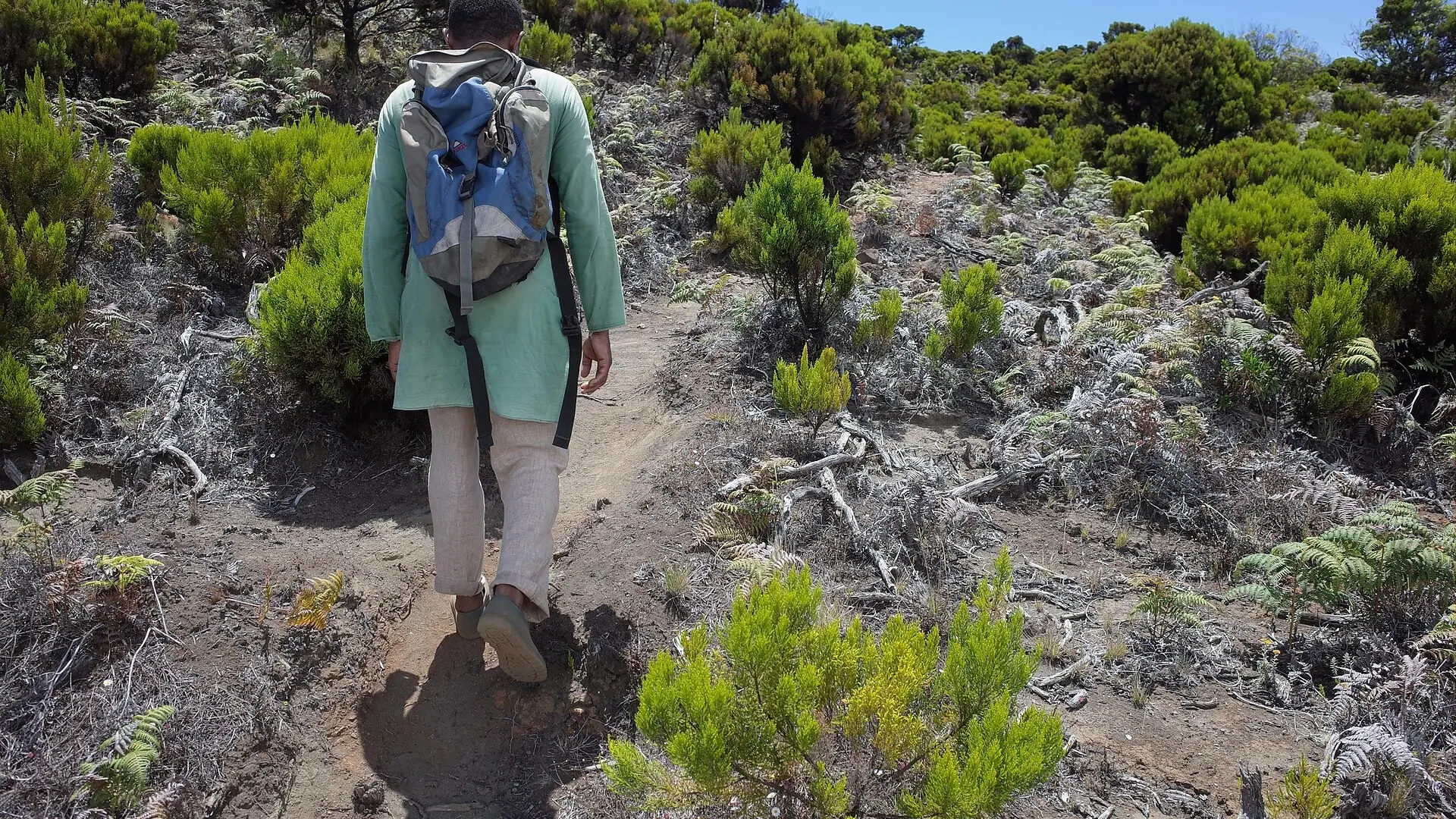 الطريق إلى فوهة بركان كارتالا