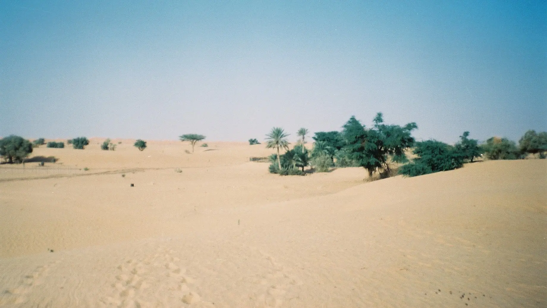 صحراء شنقيط في موريتانيا