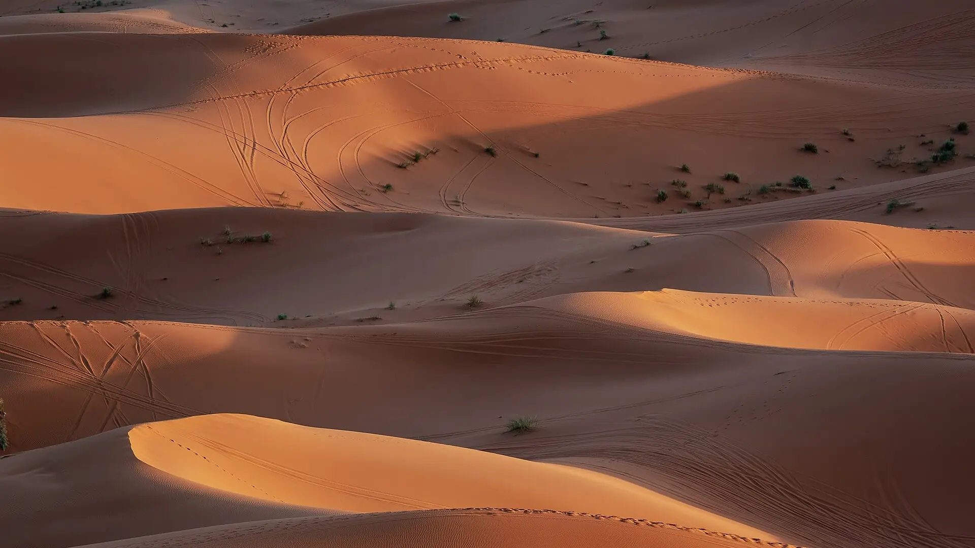 كثبان مرزوكة الرملية في الصحراء المغربية
