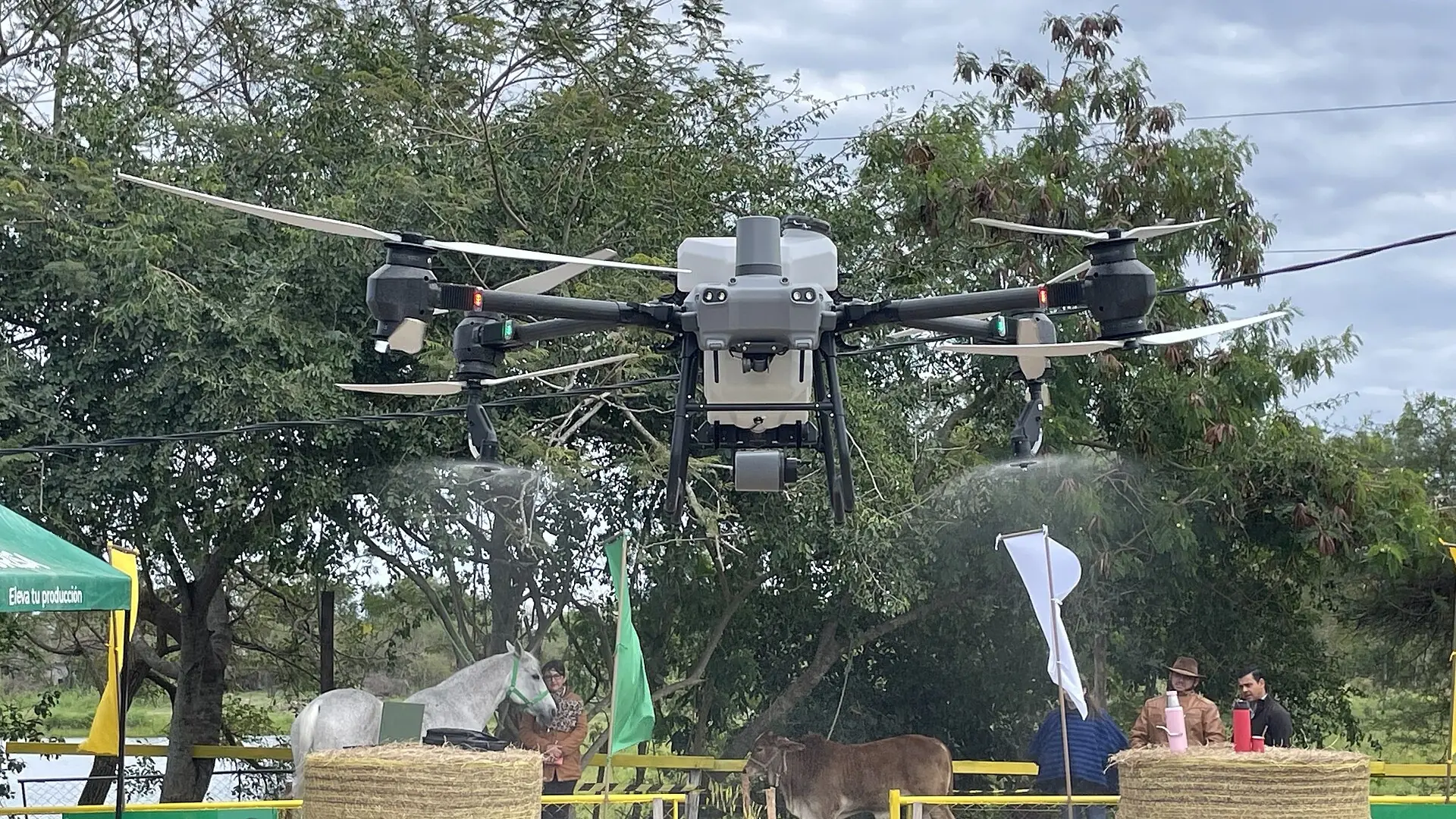 DJI Agras T50 أثناء الرش